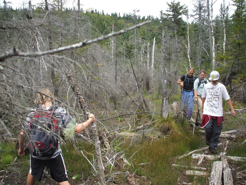 This trail has ponds and wet areas, so arrive prepared.