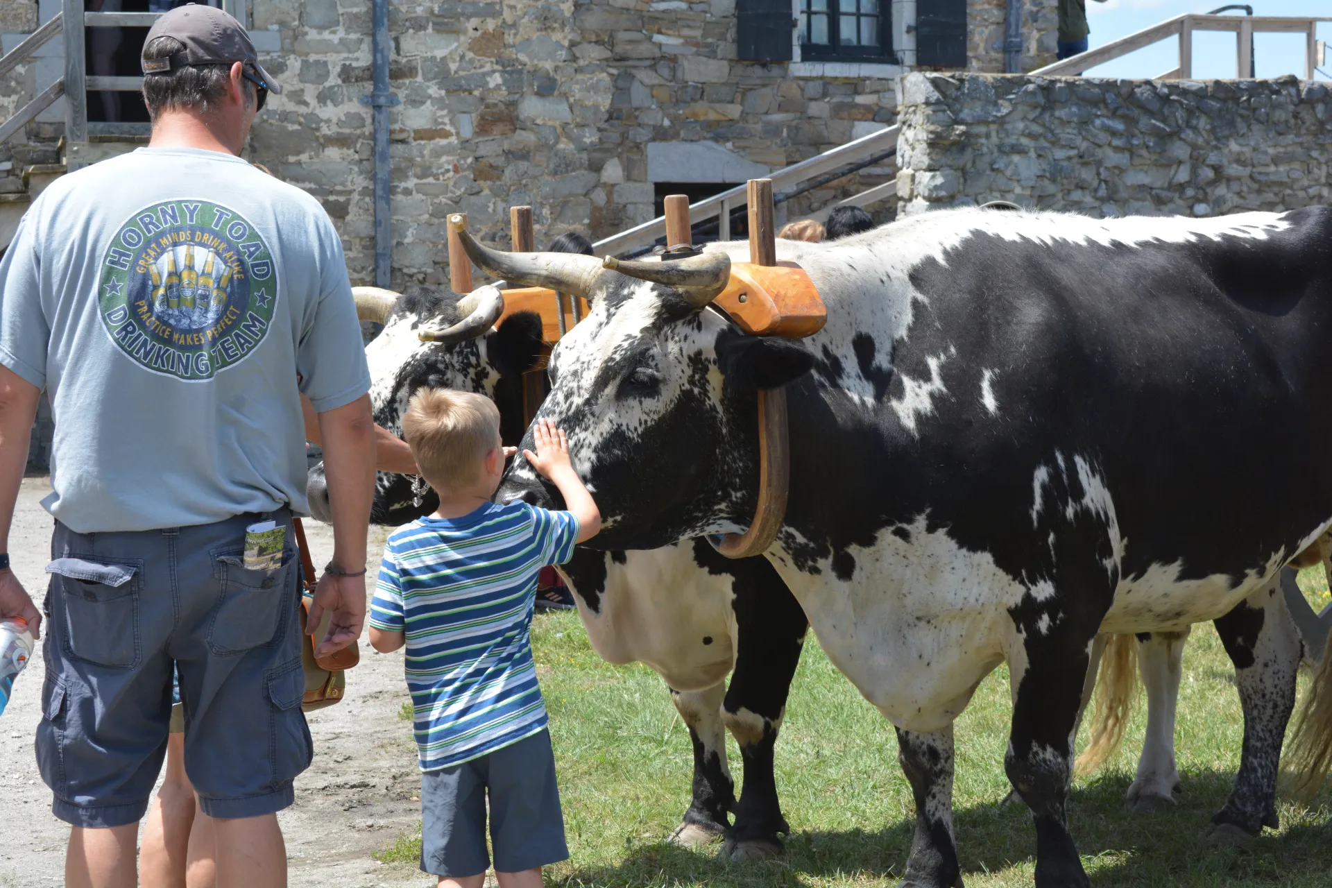 A young boy pats the nose of large black and white speckled bull.