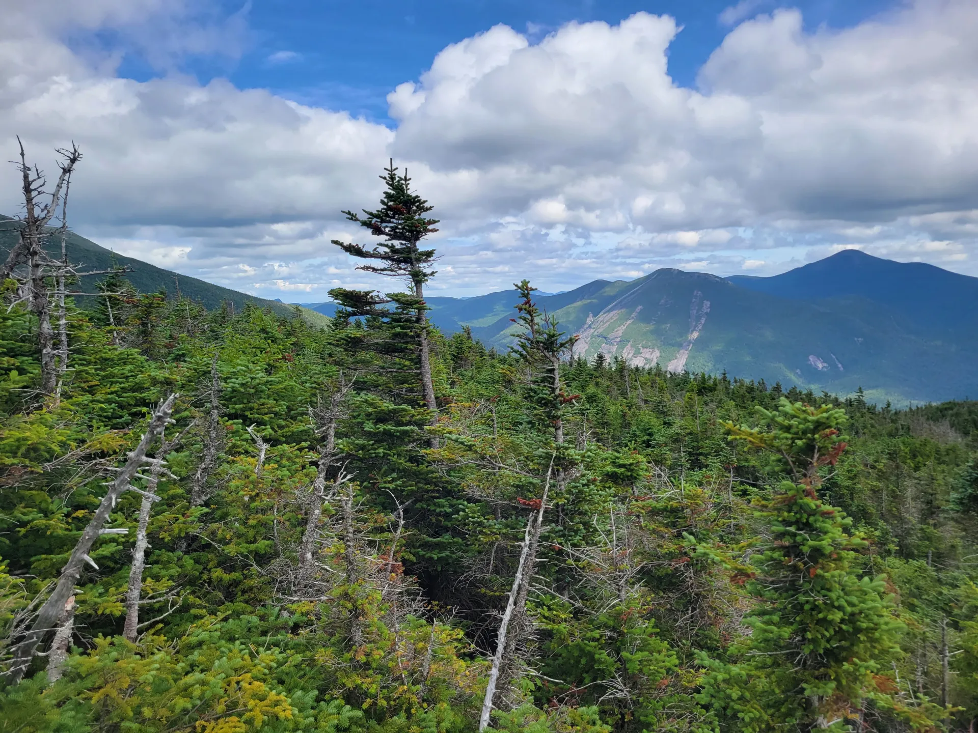 A view of mountains with slides on them