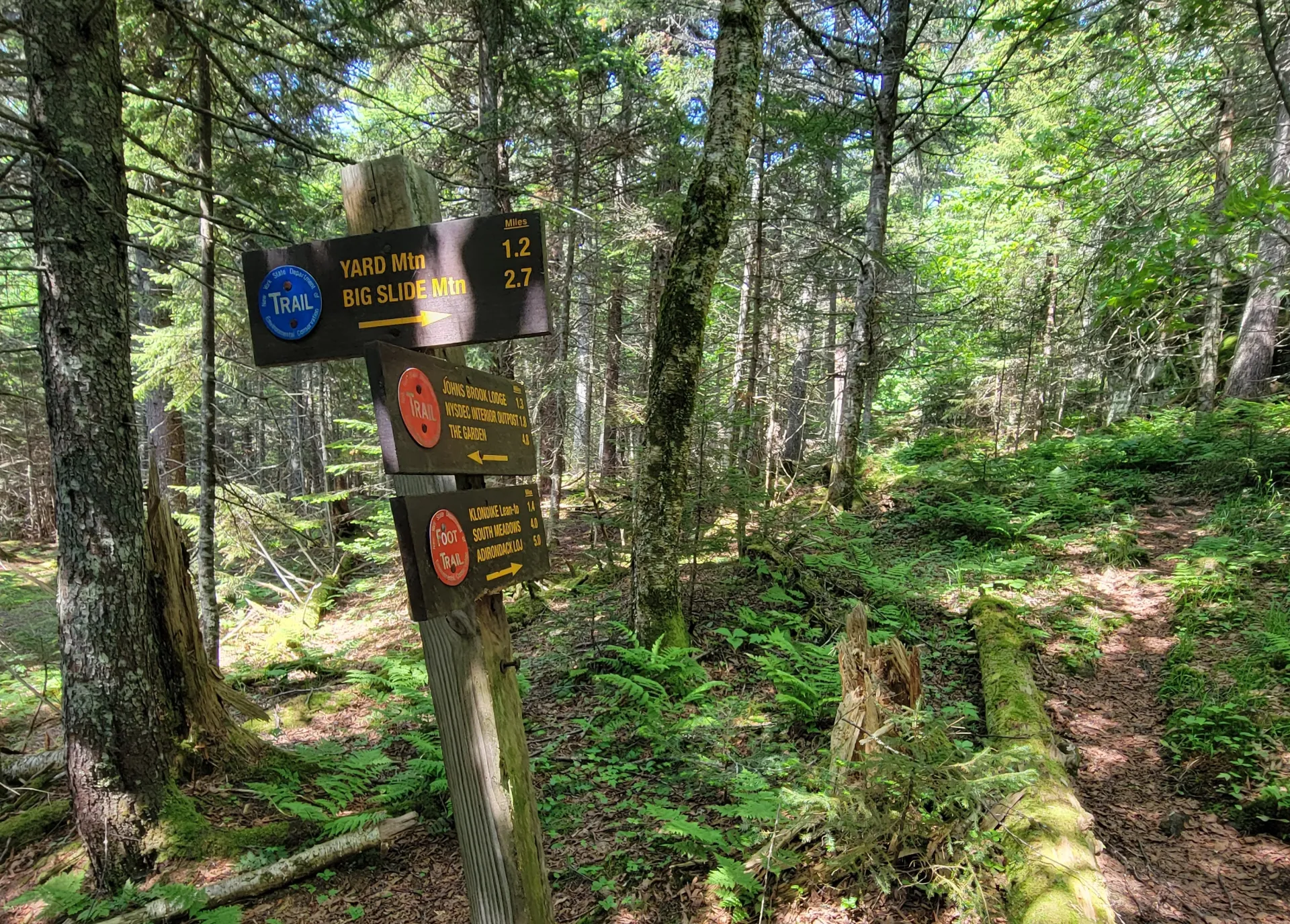 A trail junction with a few wooden signs for mileages