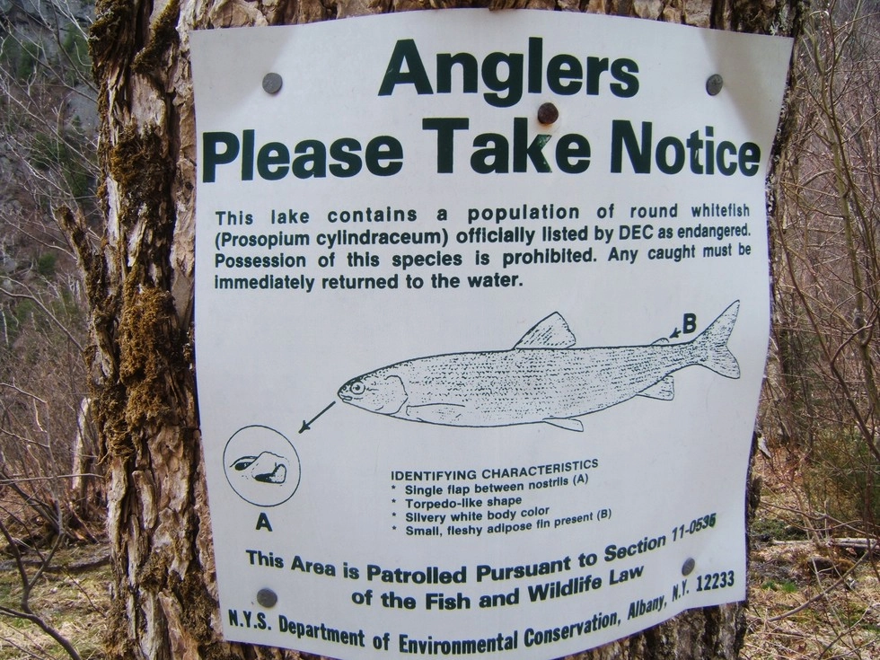Special fishing regulations should always be noted.