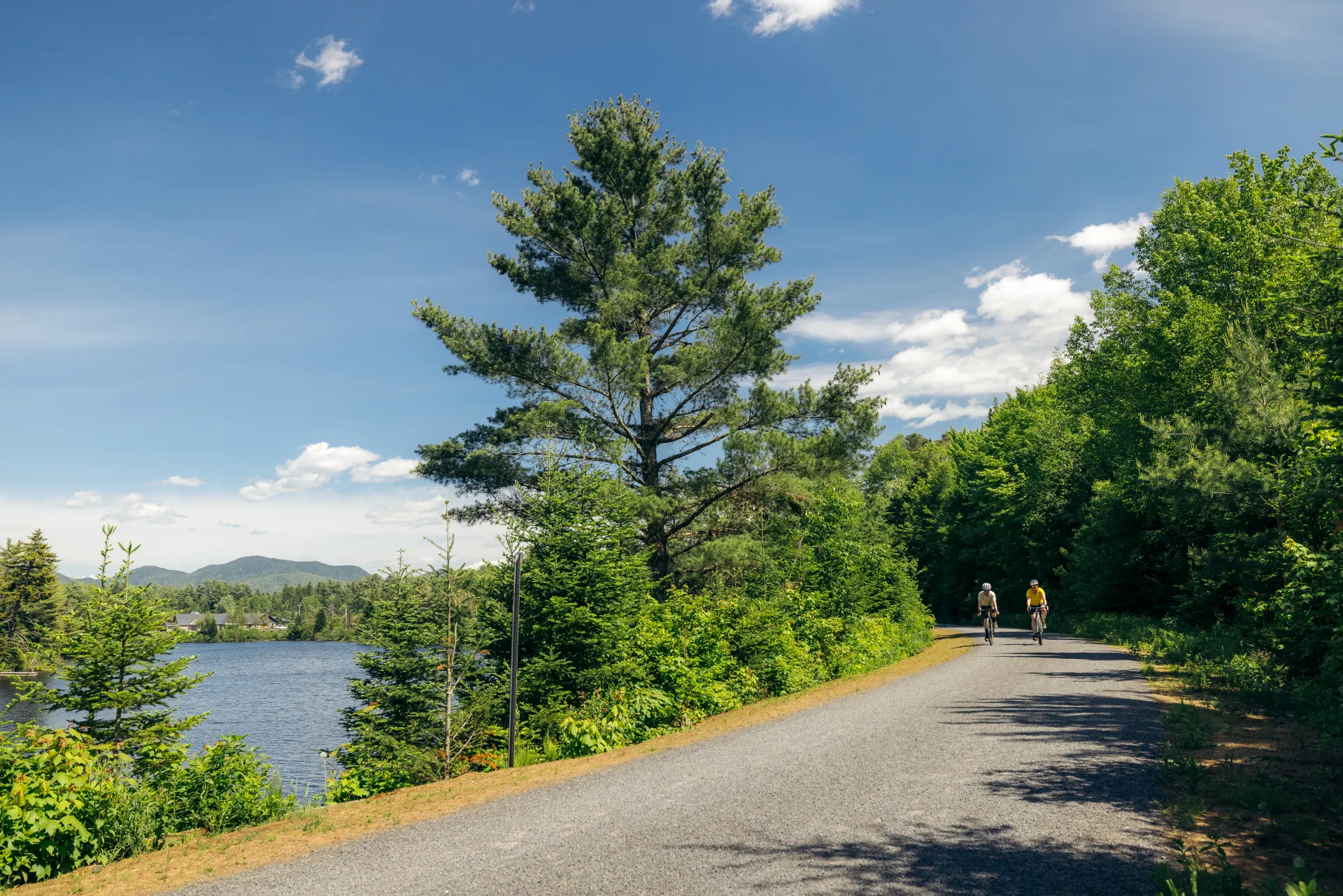 A wide, lakeside trail surrounded by evergreens on a sunny summer day. Two cyclists appear on the path. 