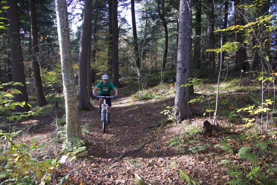 A pleasant ride through the forest