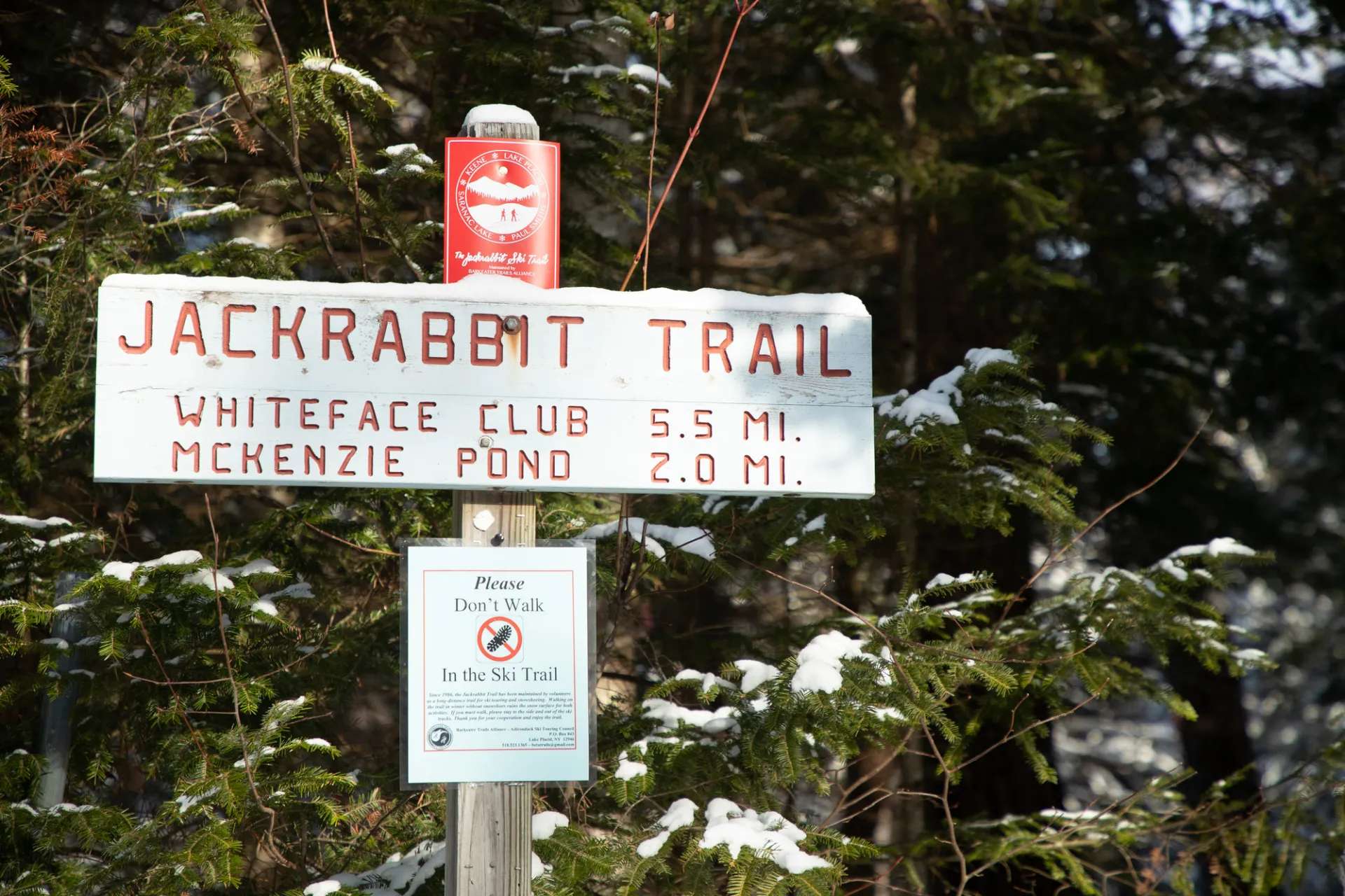 A white sign for the Jackrabbit Trail
