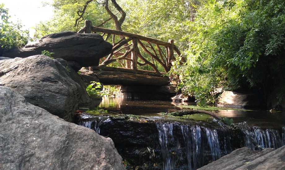 Manhattan Adirondacks