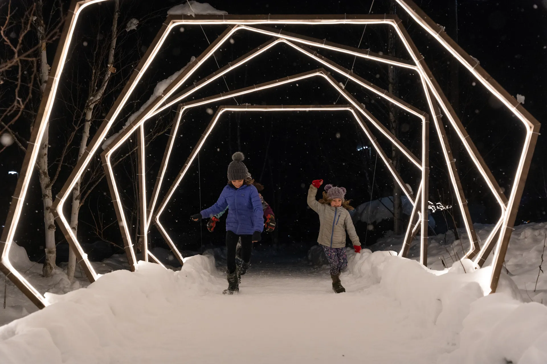 Wild Lights