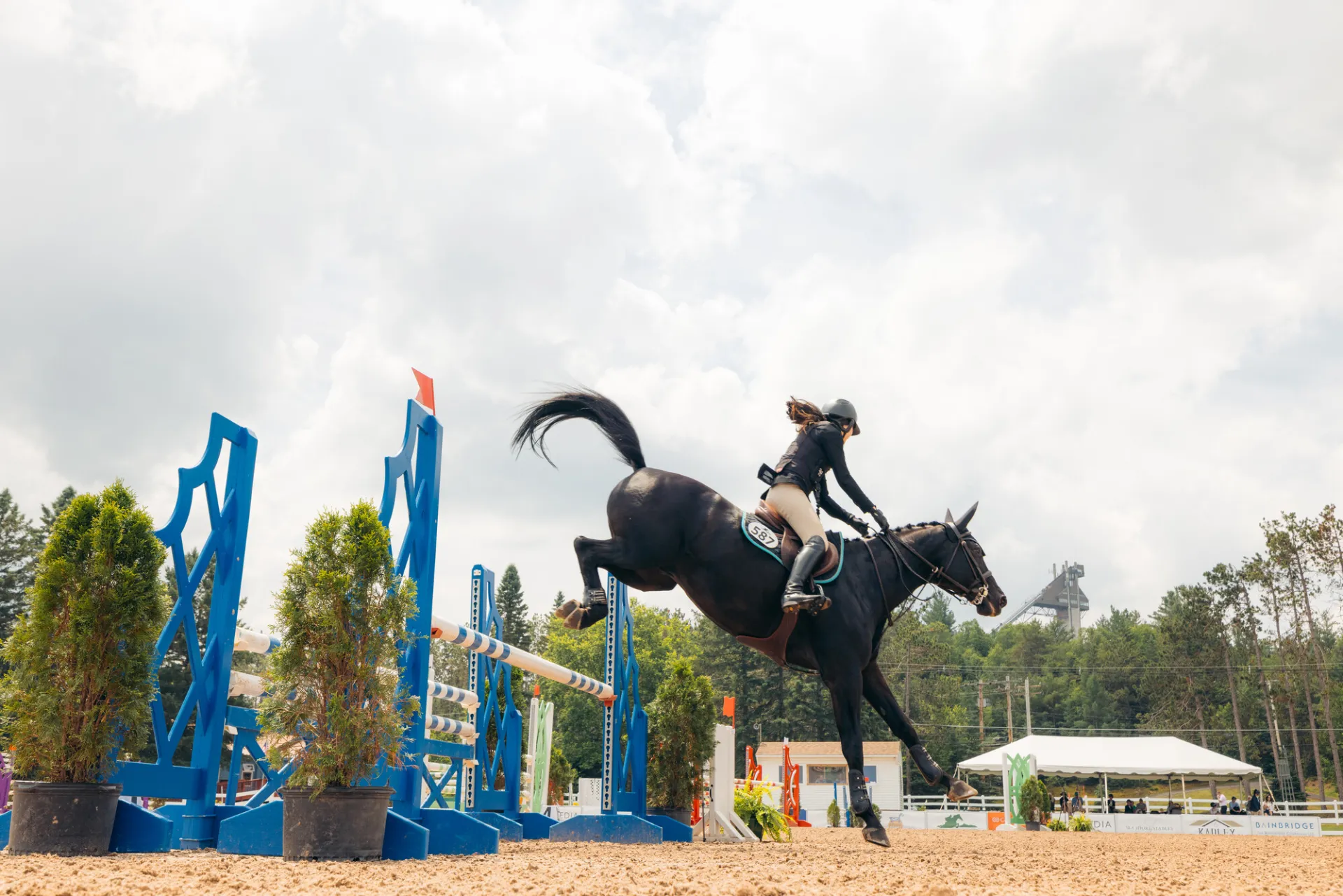 A rider on a black horse completes a jump over the bar.