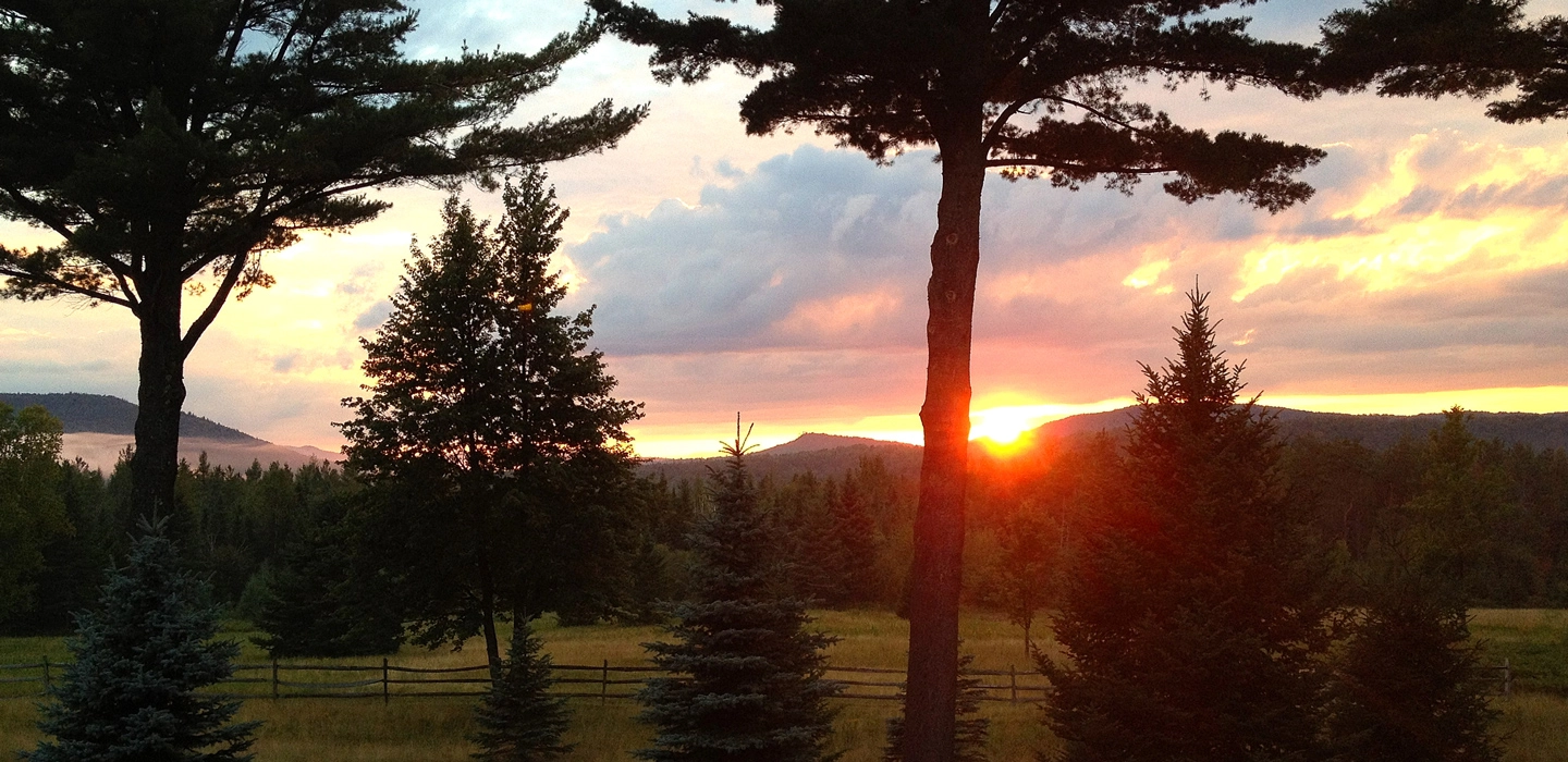 Sunset through the trees over the mountains.