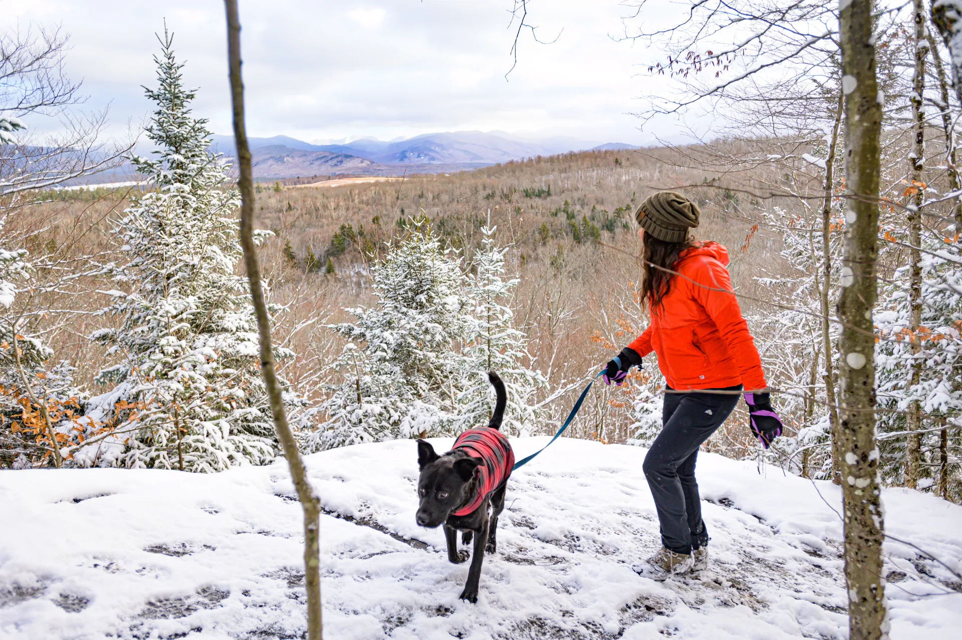 A woman hiking her dog near a snowy viewpoint