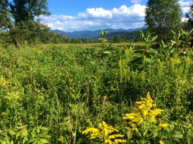 The loop trail begins and ends with these High Peaks views.