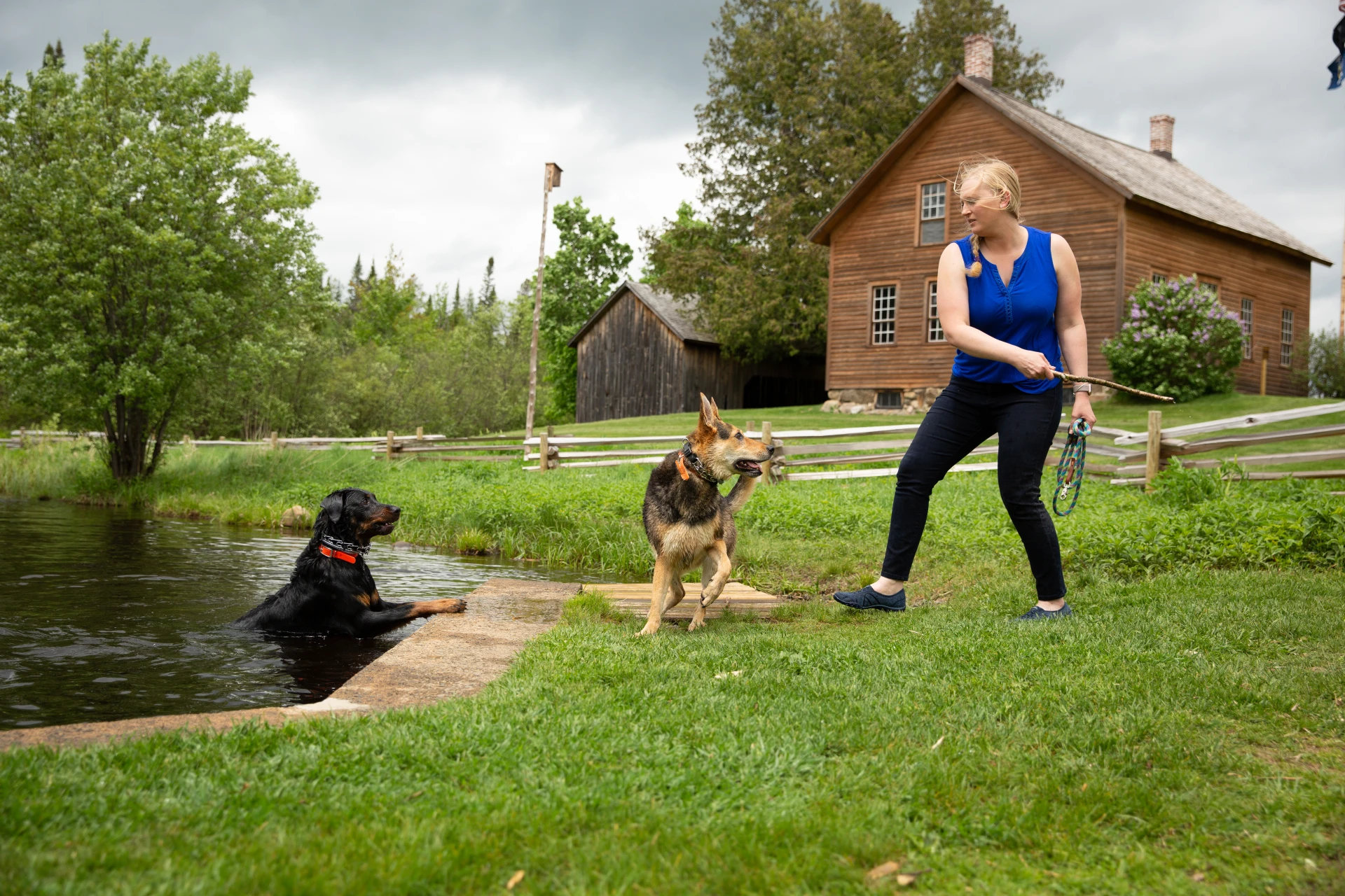 Dogs are welcome at John Brown's Farm.
