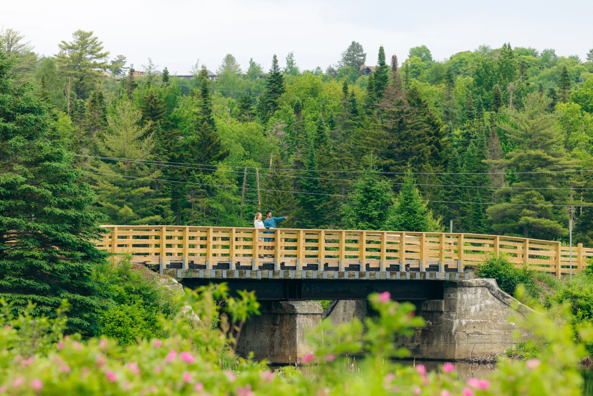Two adults stand on a small bridge on a trail amid a forest scene in summer.
