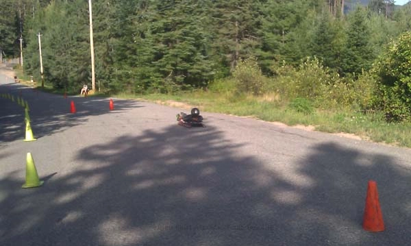 luge track wheeled