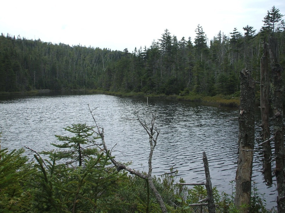 A day hike with stunning, and varied, scenery.