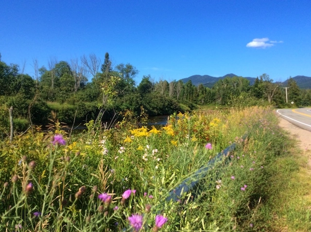 River Road has many pull-offs; so you can safely park and explore the abundant beauty.