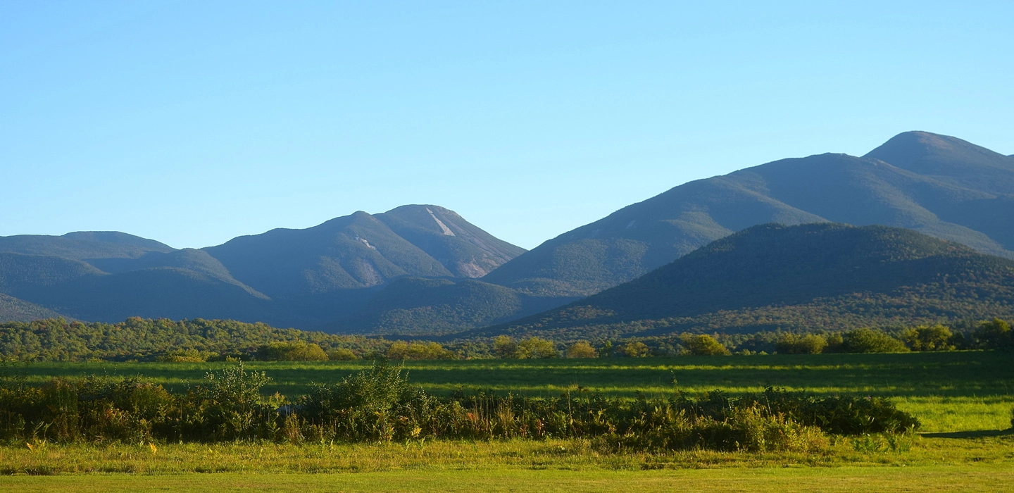 View of the mountains over a meadow.