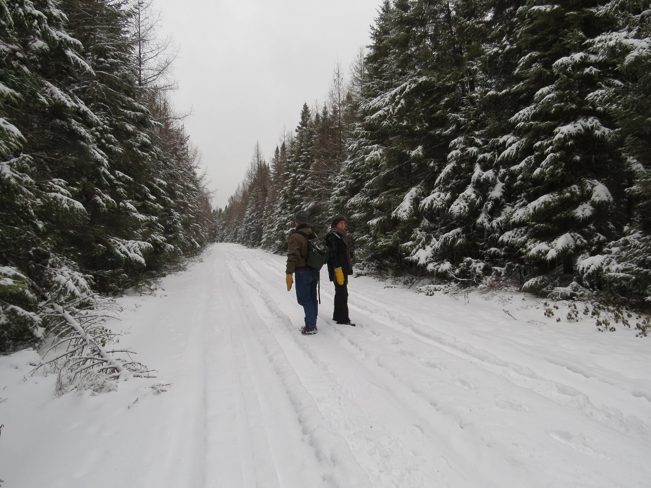 John &amp; Terese Hart listening for birds on Bigelow Road