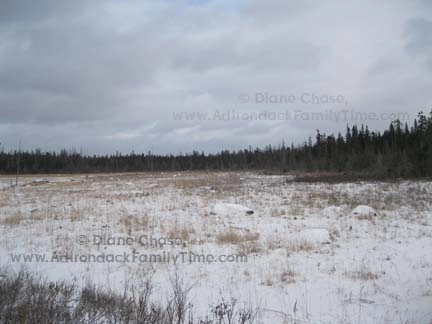 Bloomingdale Bog Cross-Country Ski Trail