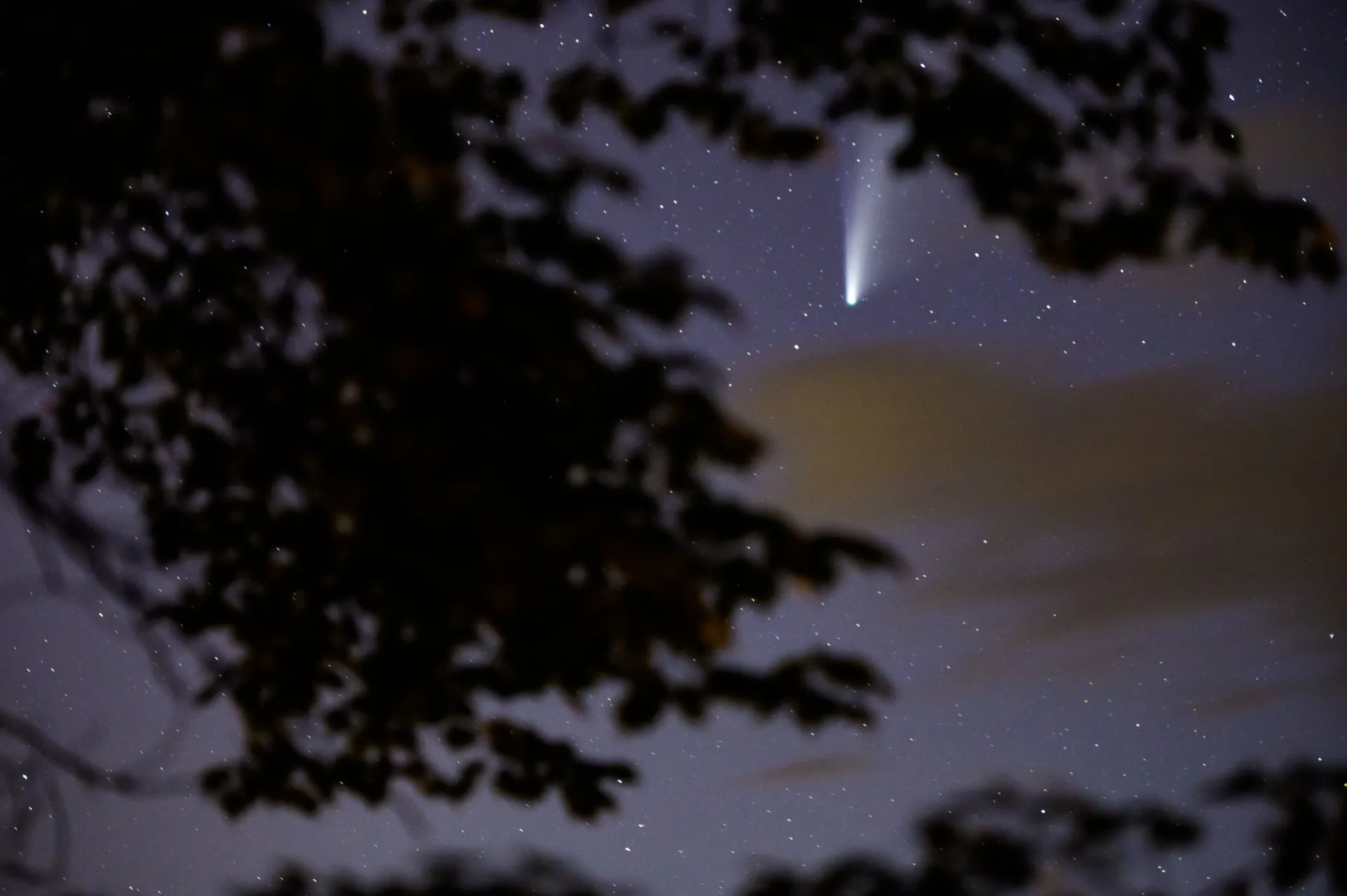 A meteor shower in the Adirondacks.