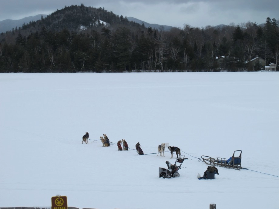 dogsled