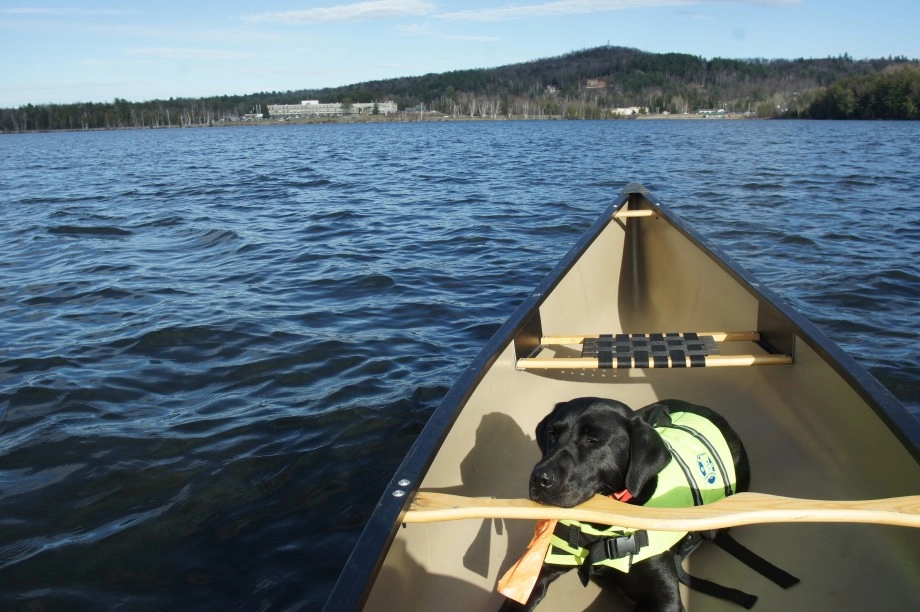 Wren dozes on Lake Colby