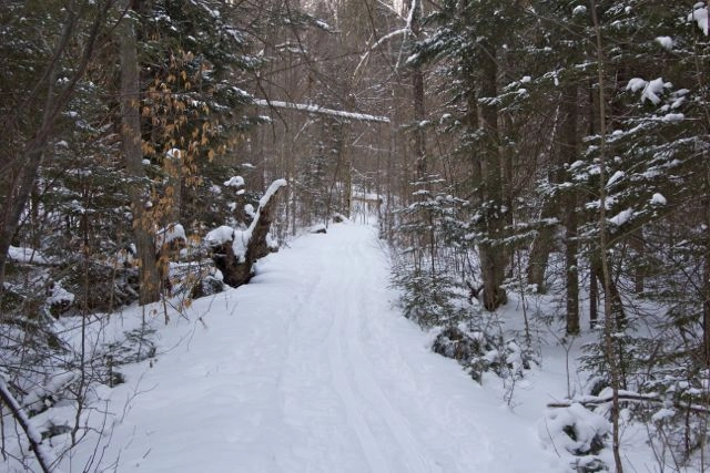 Fantastic Trail Skiing