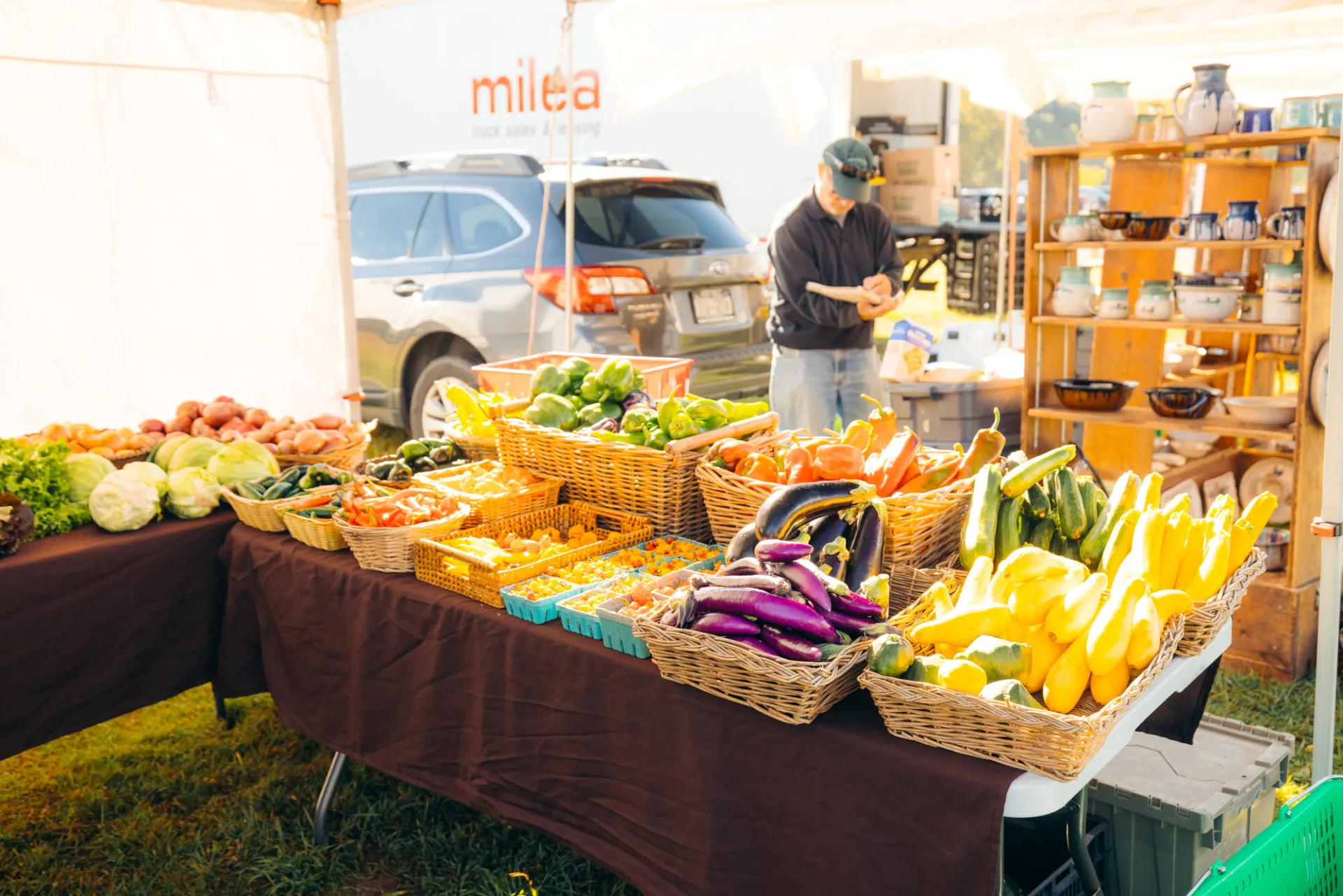 Display of variety of colorful vegetables in baskets on table covered in dark tablecloth under white tent at farmers market