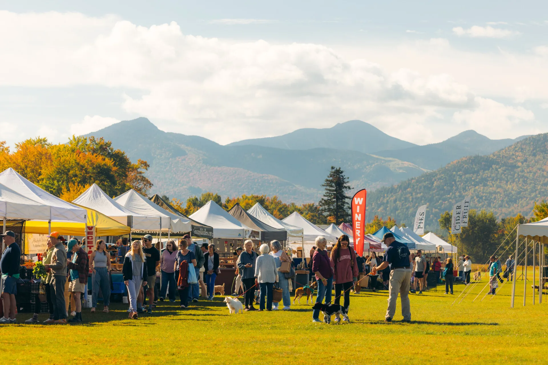 A farmers market in Lake Placid and Keene Valley area with multiple vendors, people walking, and mountain views.