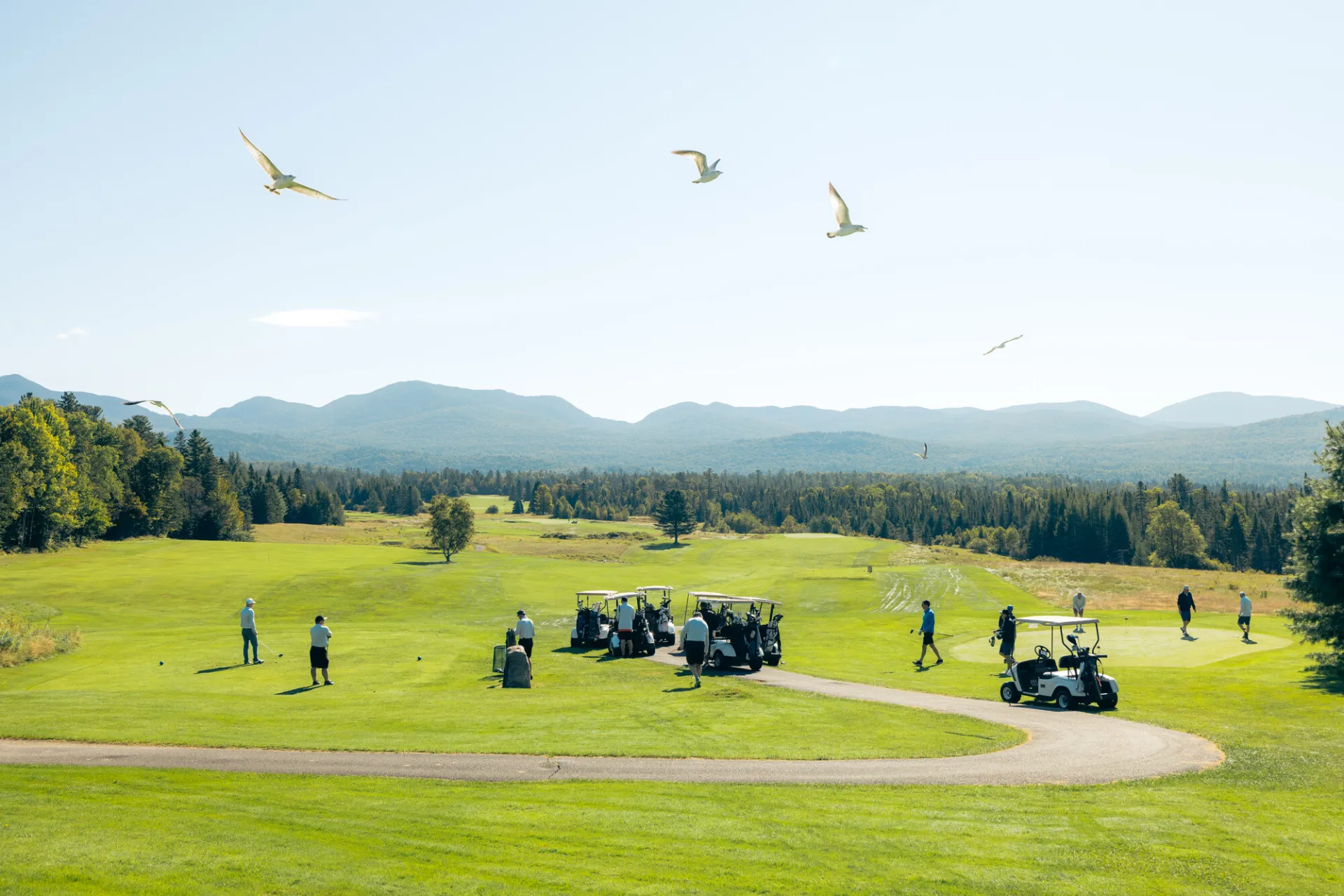 Golfing on a sunny day with birds flying overhead. 