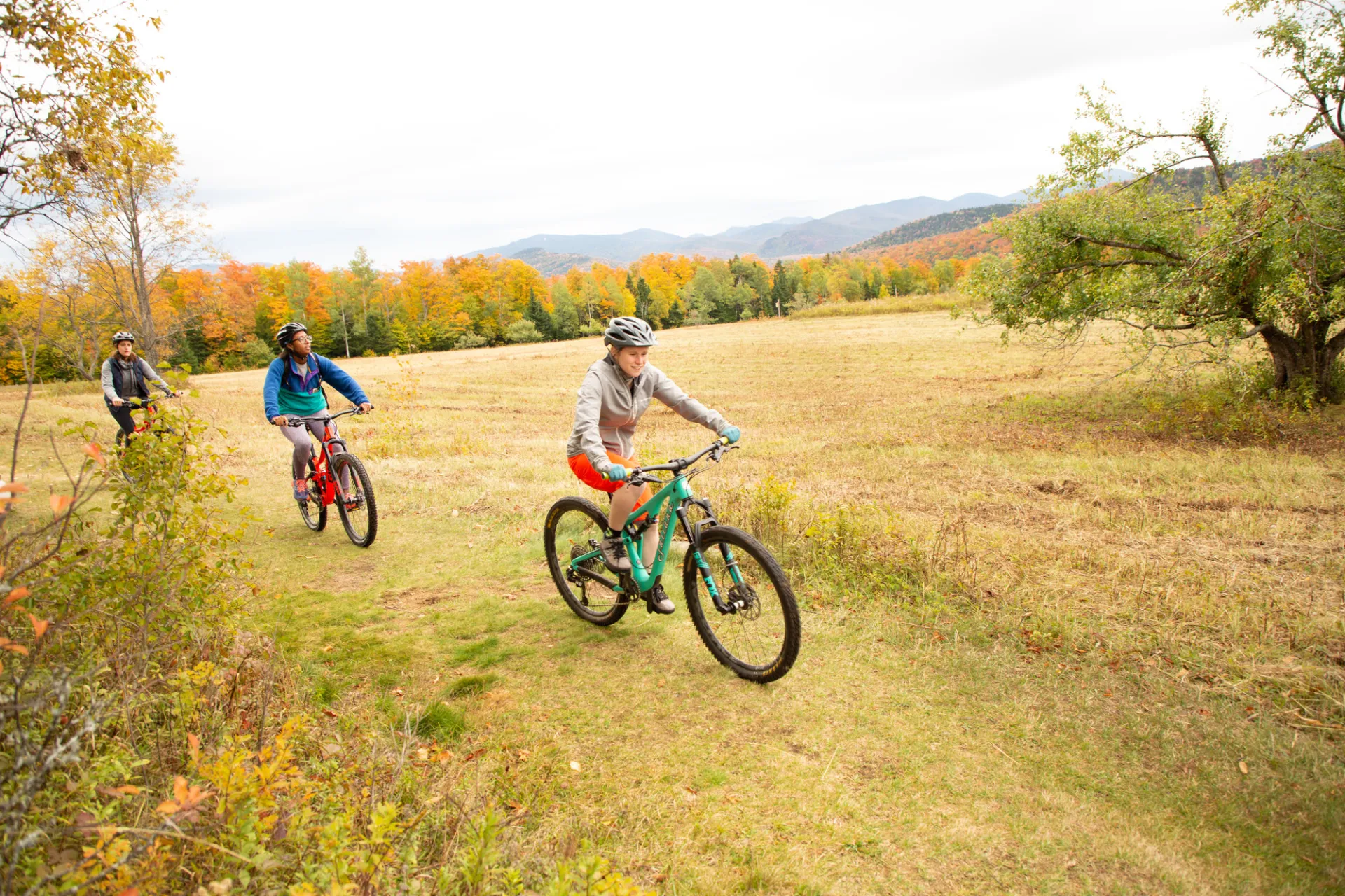 Two mountain bikers in an open field
