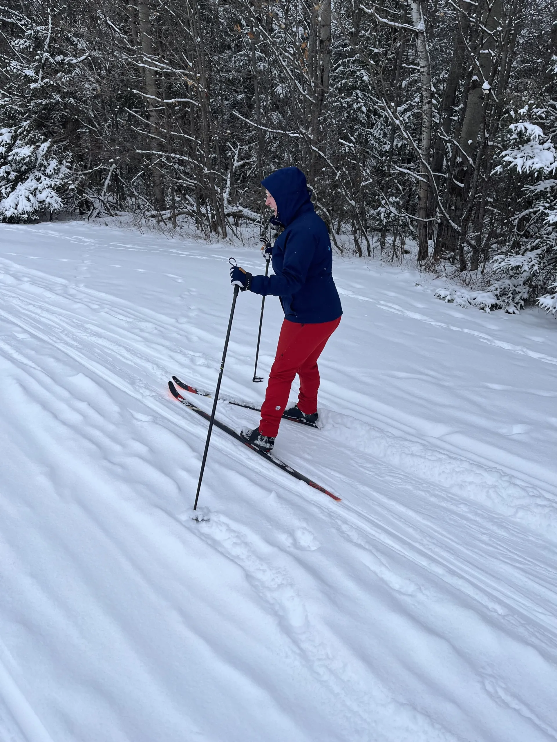 A new skier learns how to go cross country
