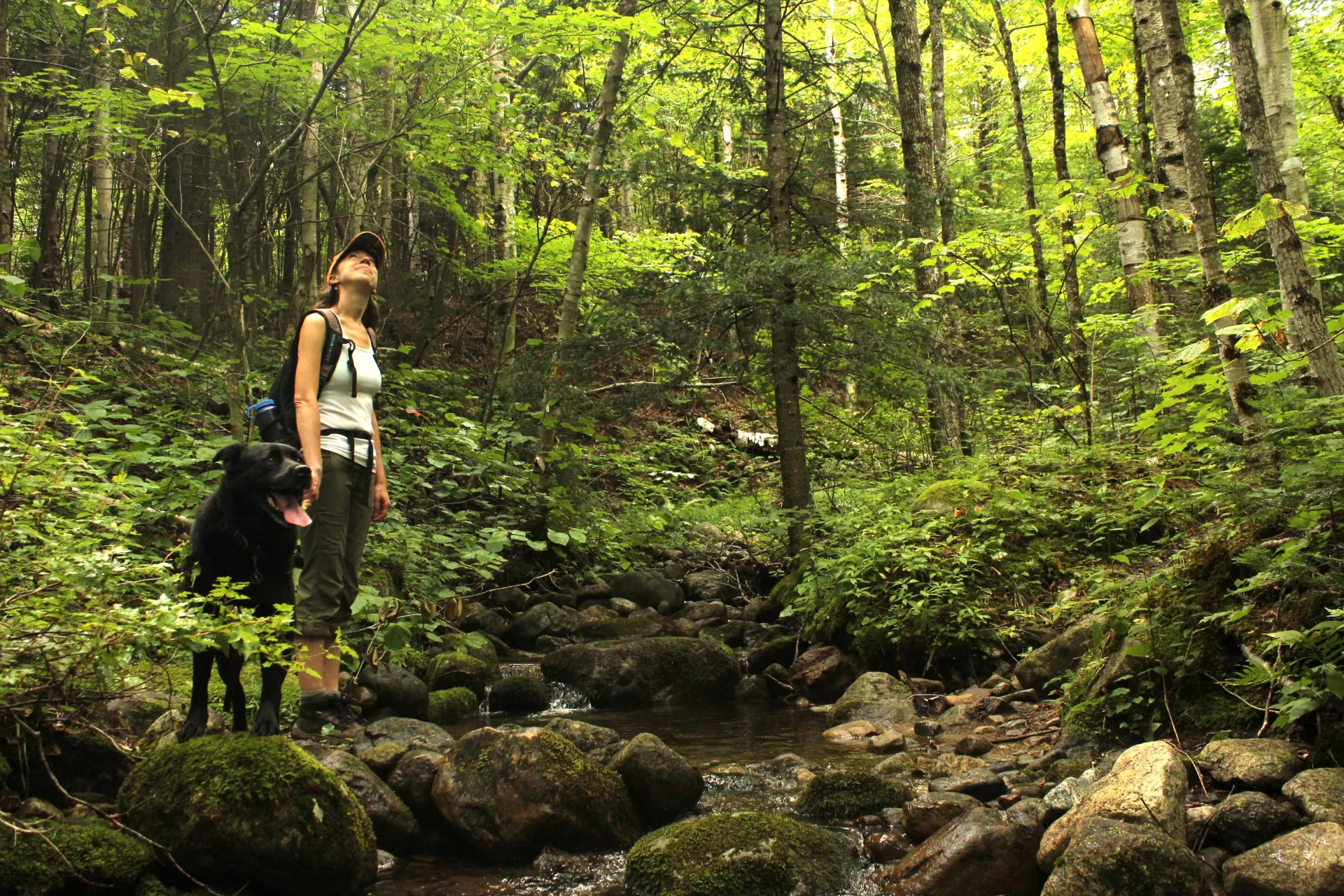 Cooper Kiln Pond is a varied trail with stream crossings and beaver sightings.