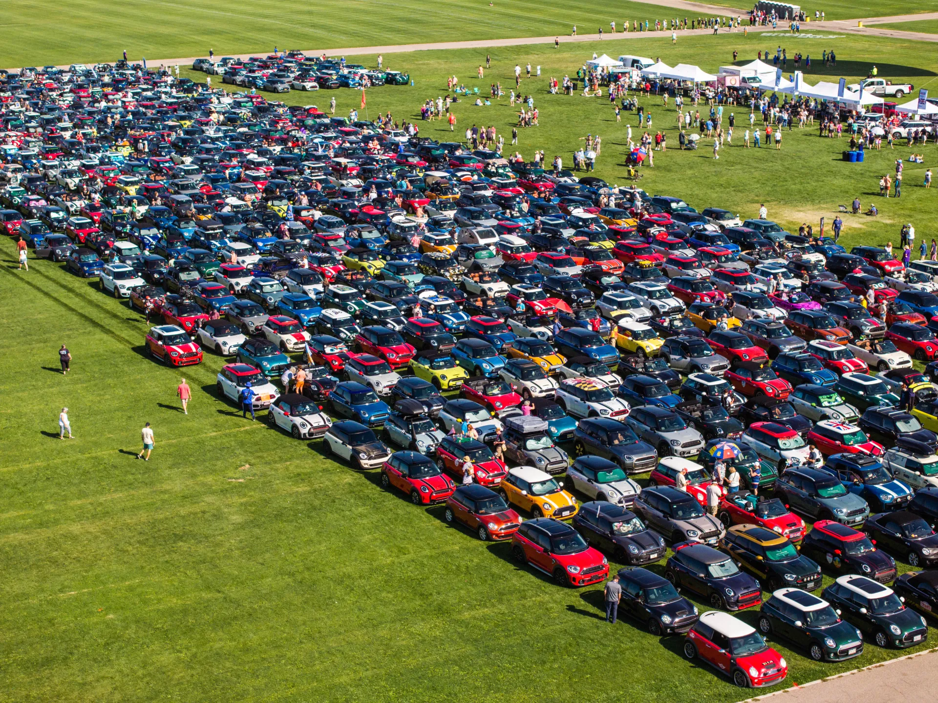 Line of cars on grass
