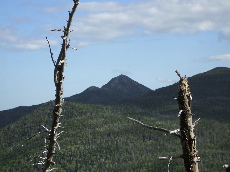 Look for the leaves to fall for the best Tabletop views.