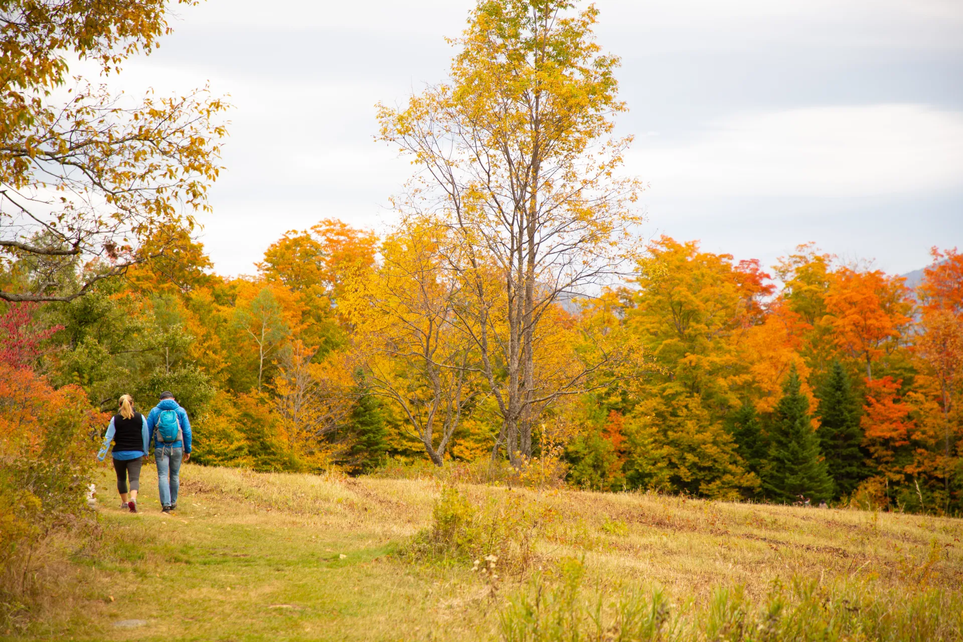 Beautiful places for an enjoyable stroll.