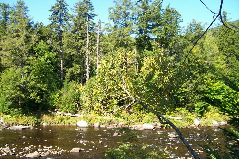 The banks of the river add interest to hiking and fishing.