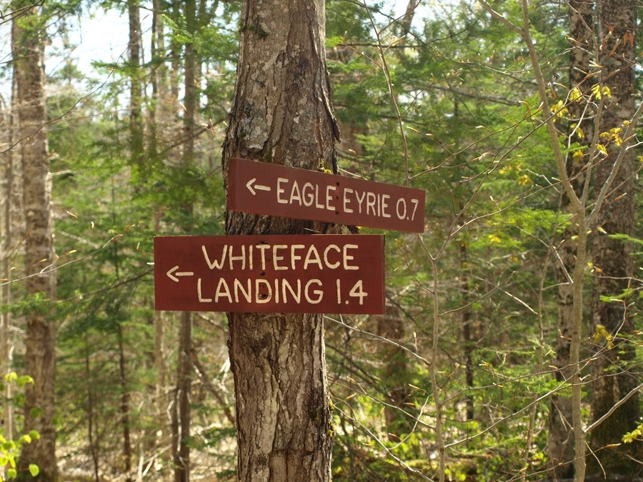 Wooden signs for Whiteface Landing and Eagle Eyrie