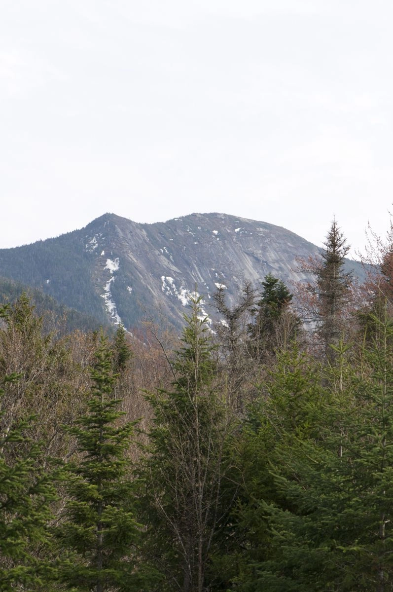 The view of Gothics from Johns Brook Lodge