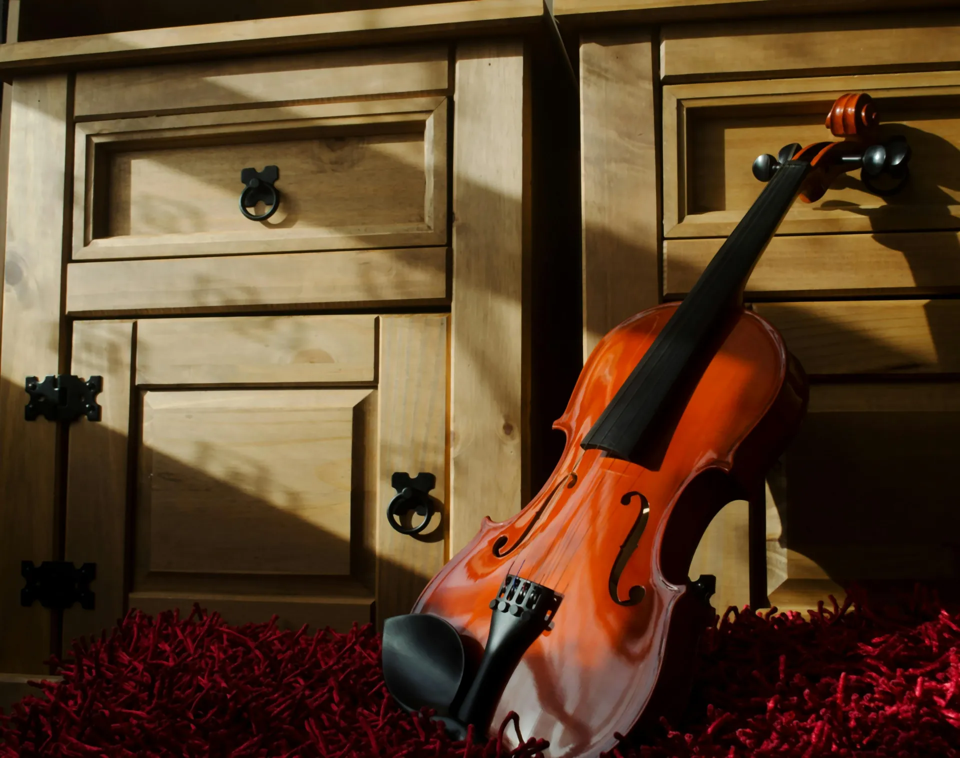 Stock image of viola