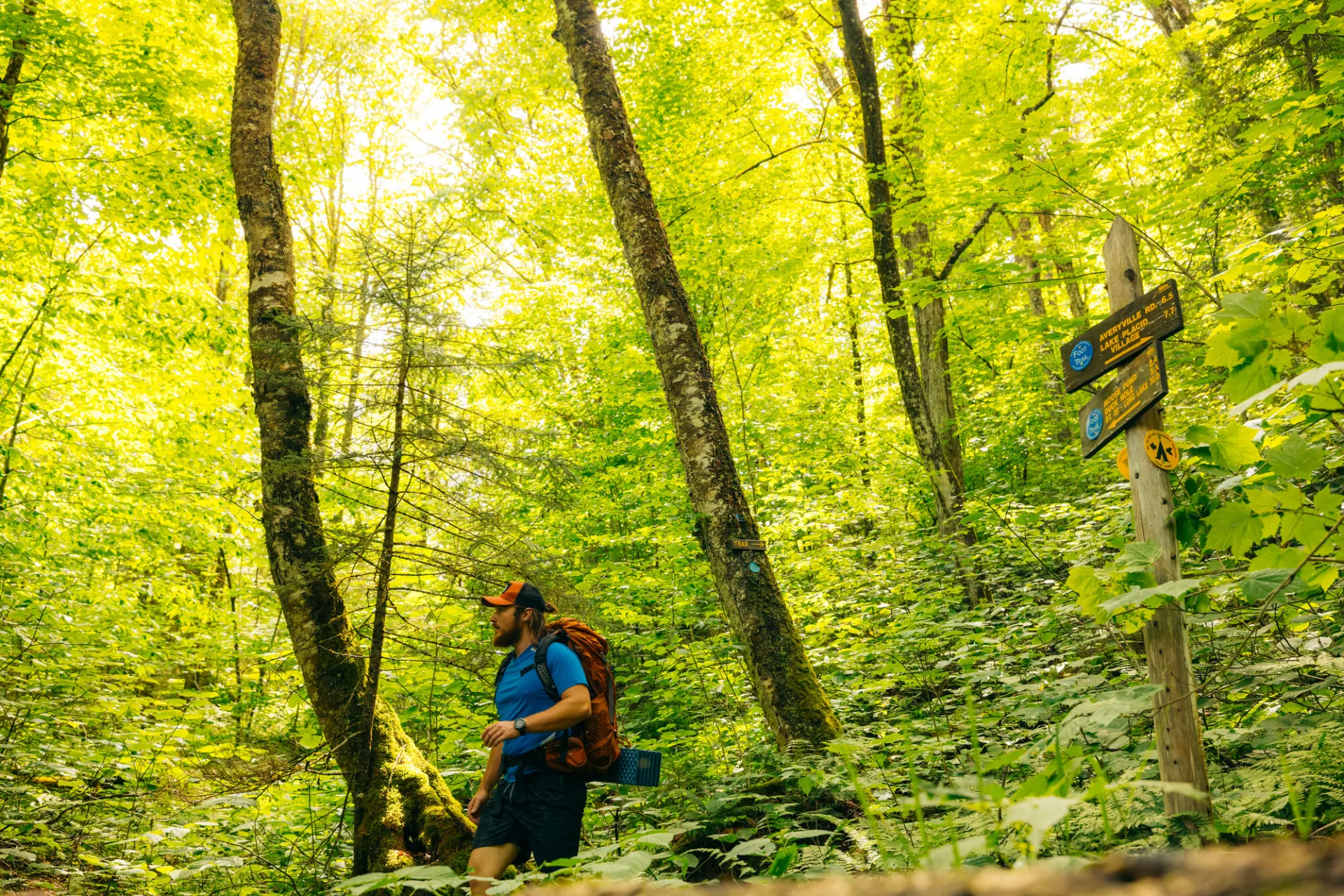 A hiker goes left at a junction