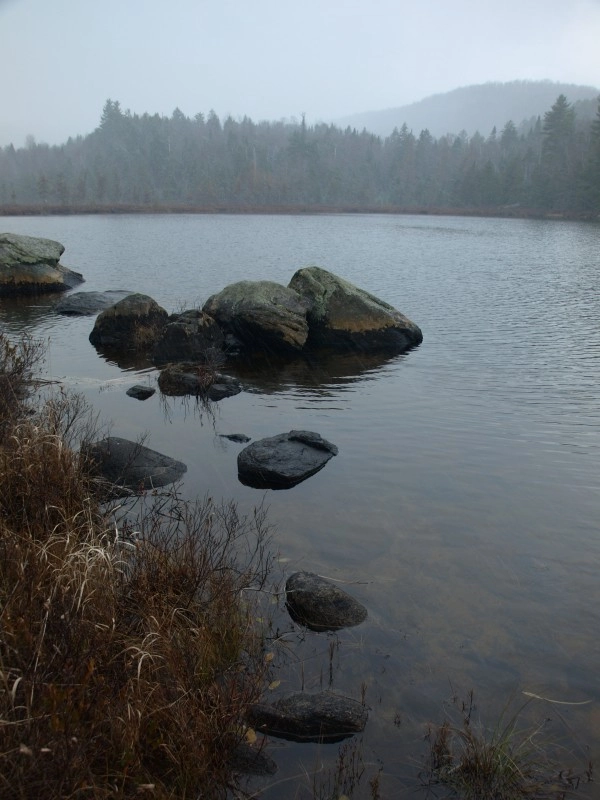Long Pond View