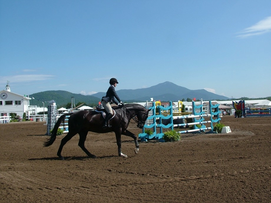 Horse Show