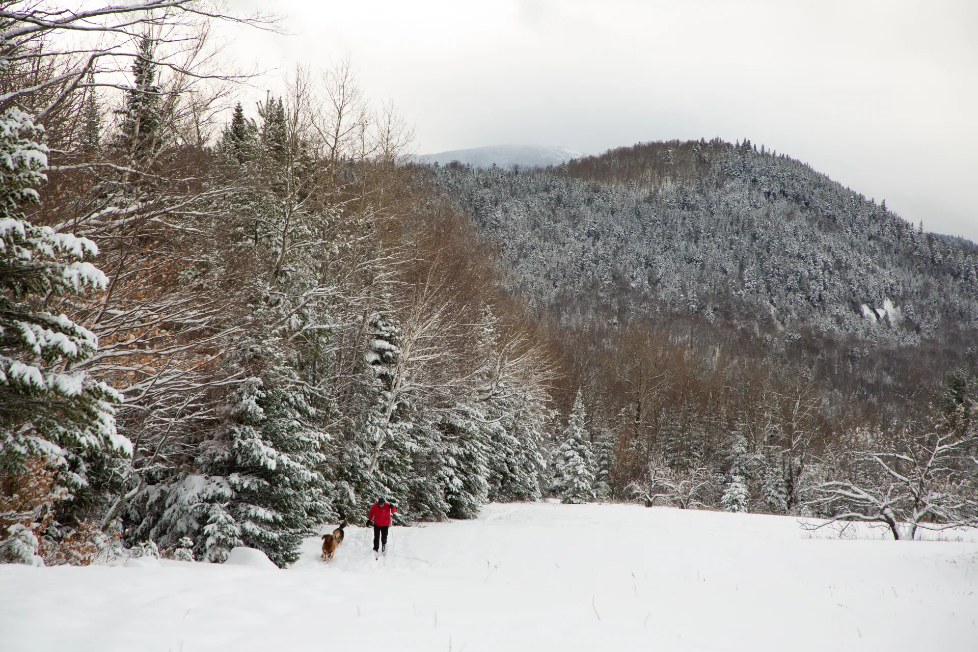 Plenty of photo opportunities of the special winter landscape.