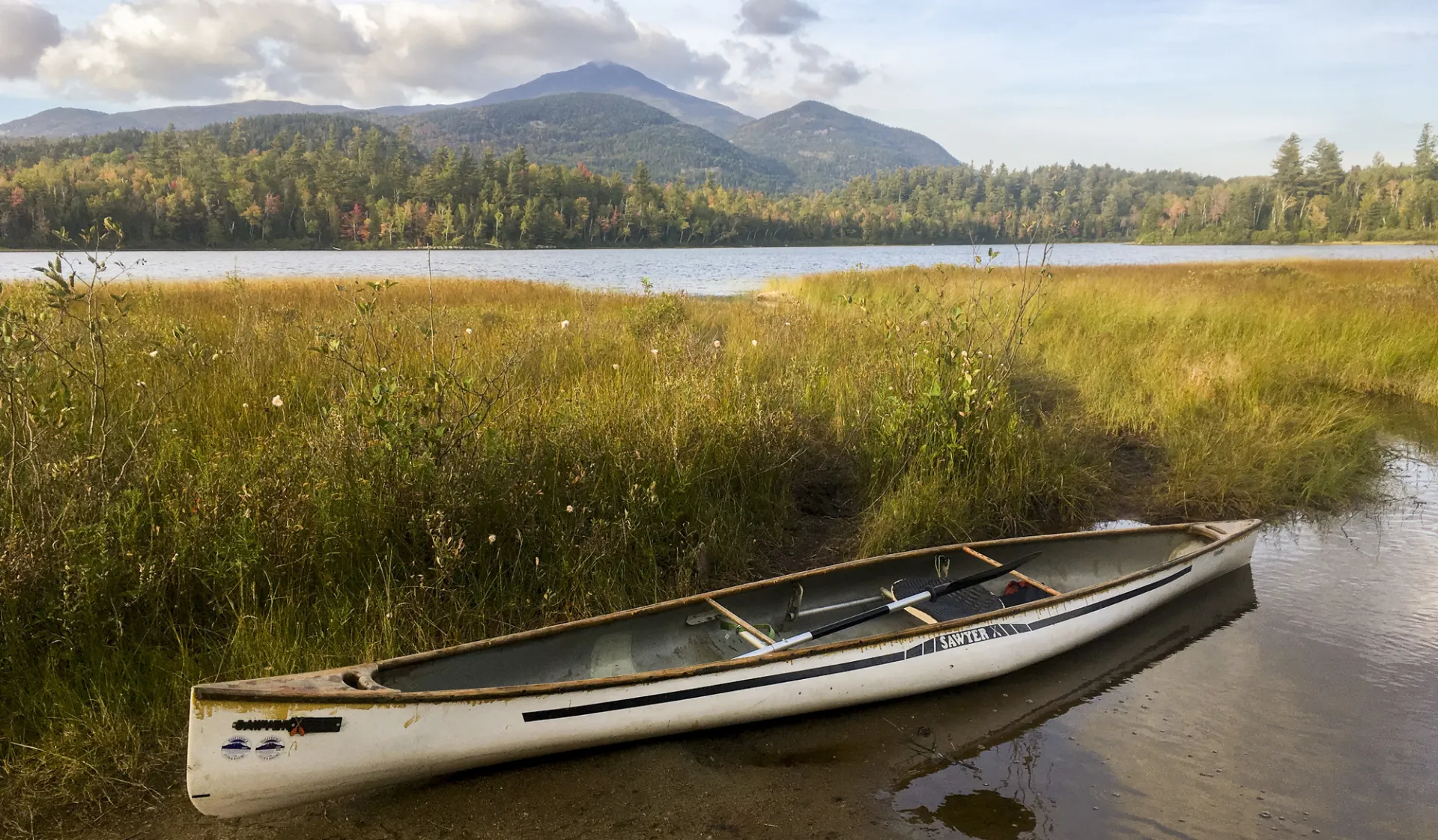 A canoe on the edge of a marsh
