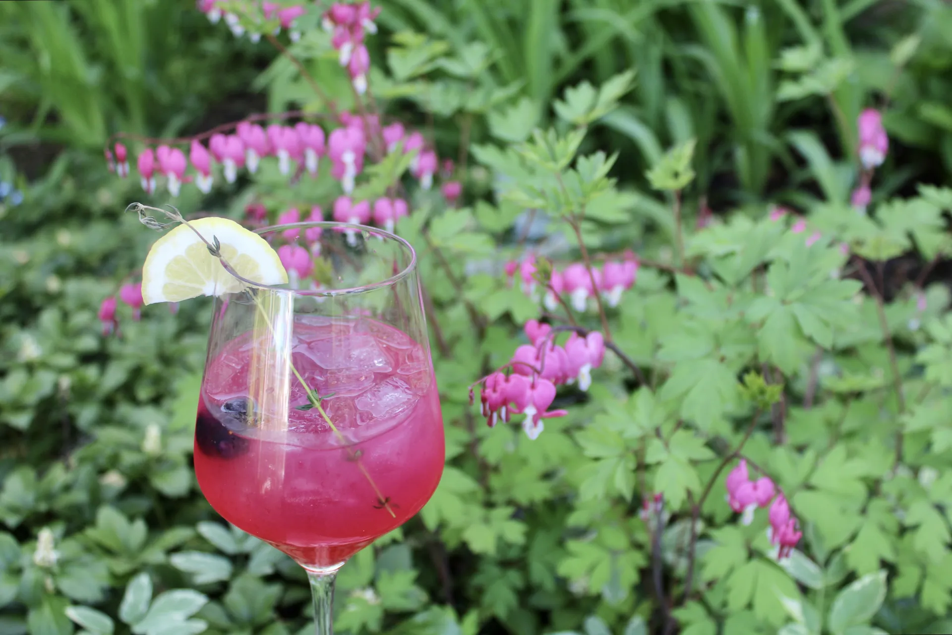 A pink signature cocktail that matches the bleeding hearts in the background.