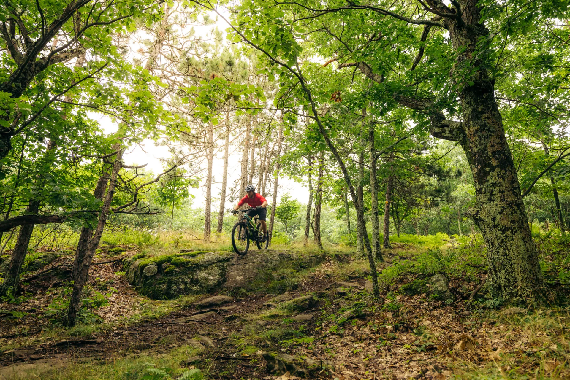 A mountain biker going down a dirt trail