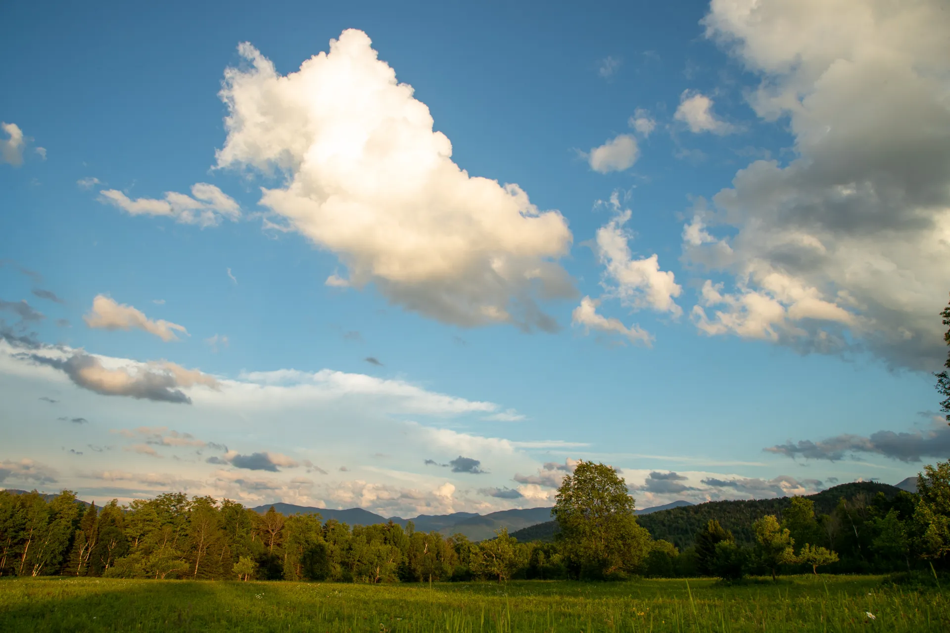 Heaven Hill trails are in a mixed forest/meadow setting. 