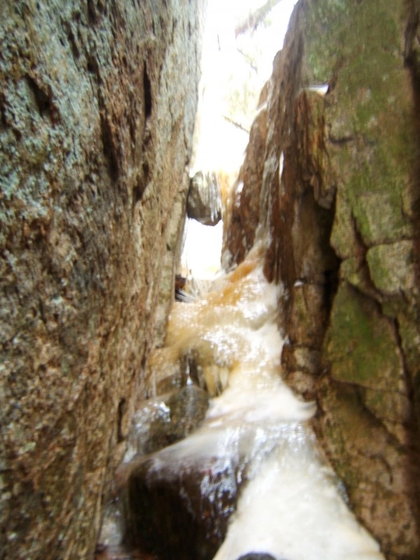 Bear Run
