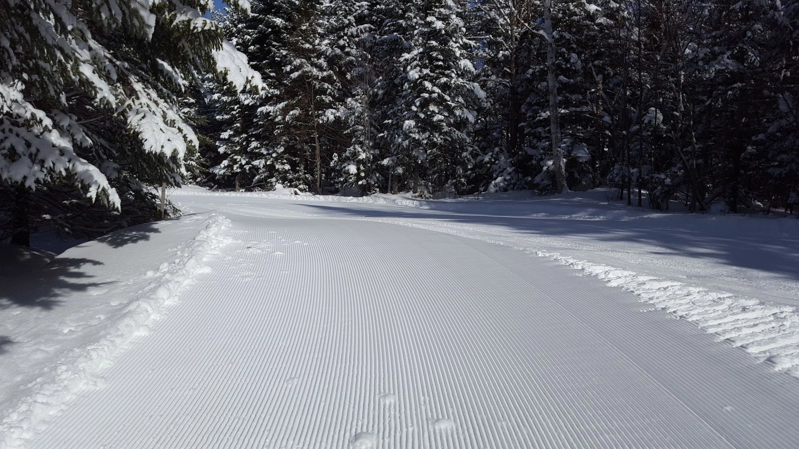 Perfect conditions!