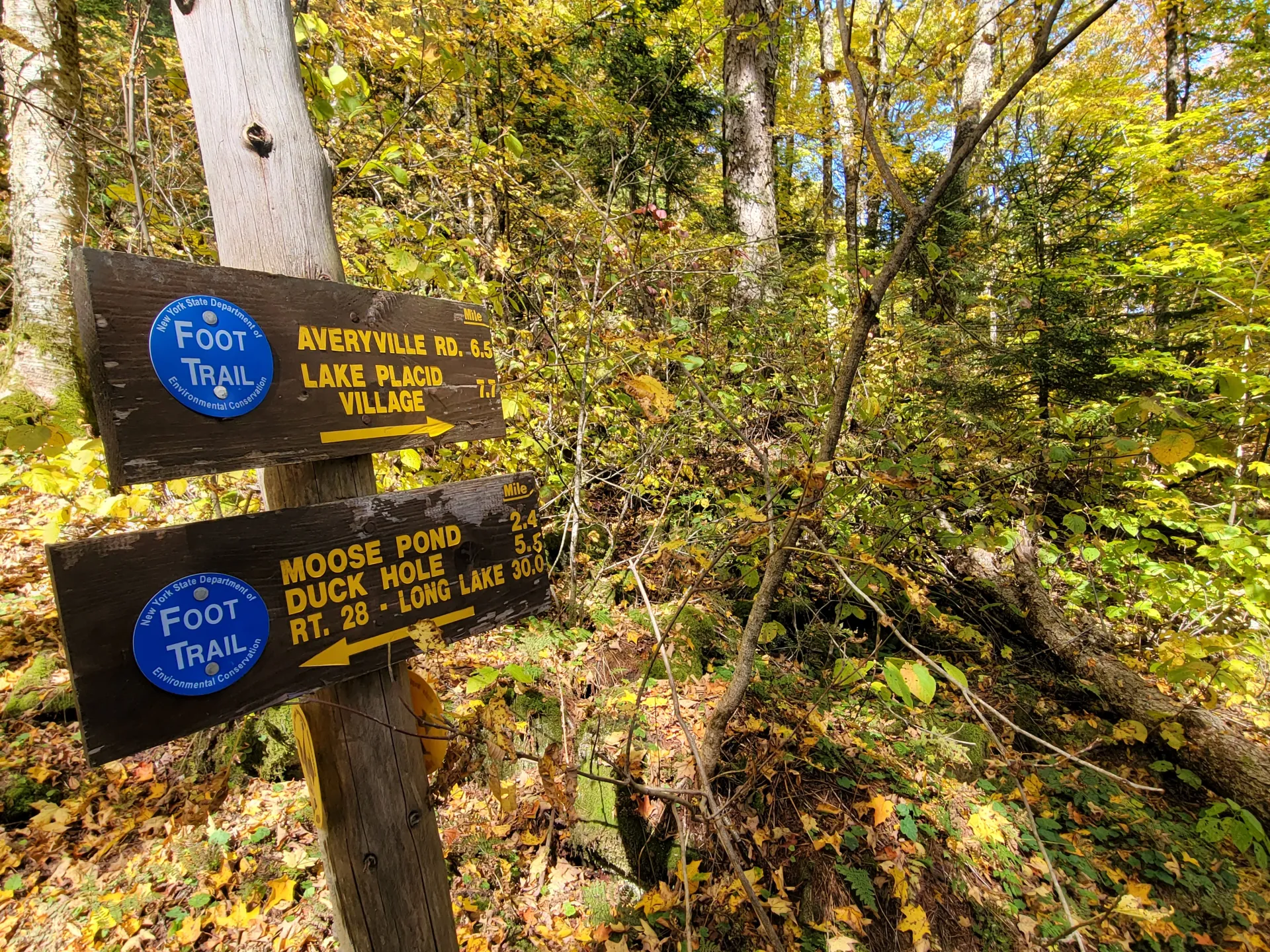 A wooden trail sign with yellow lettering